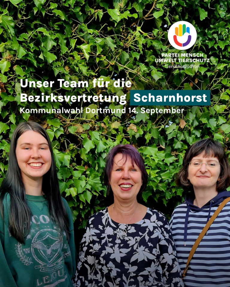 Spitzenkandidatinnen Trio für die BV Scharnhorst