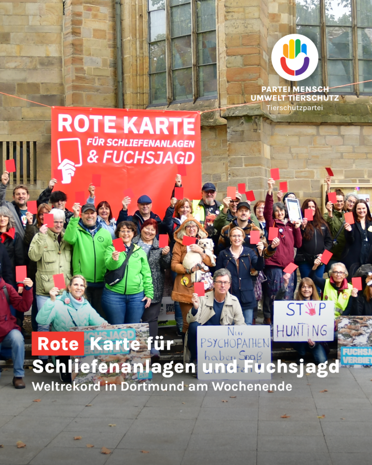 Viele Menschen zeigen die rote Karte