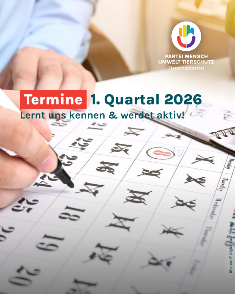 Termine 2026 1. Quartal
