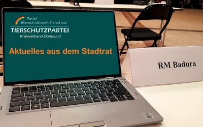 Aktuelles-Stadtrat