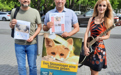 Demo-Jagd-und-Hund