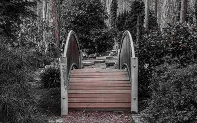 Friedhof-HP