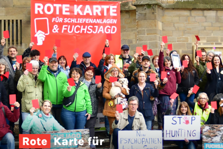meme(131) Viele Menschen zeigen die rote Karte